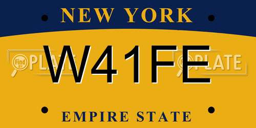 W41FE New York License Plate