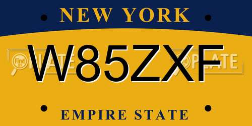 W85ZXF New York License Plate