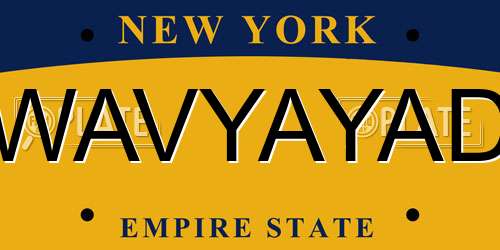 WAVYAYAD New York License Plate