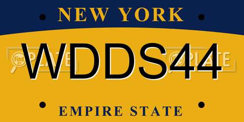 WDDS44 New York License Plate