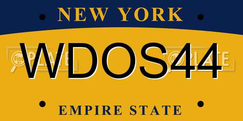 WDOS44 New York License Plate