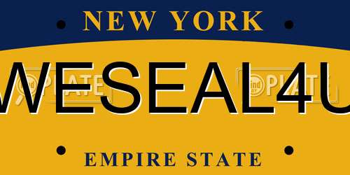 WESEAL4U New York License Plate