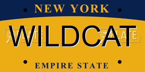 WILDCAT New York License Plate