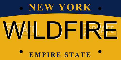 WILDFIRE New York License Plate