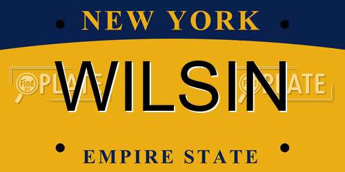 WILSIN New York License Plate