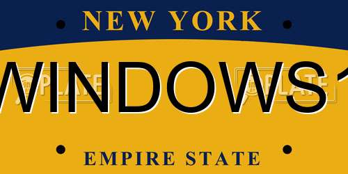 WINDOWS1 New York License Plate
