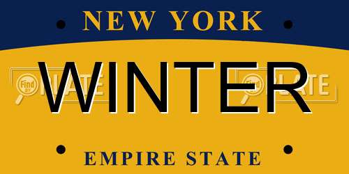 WINTER New York License Plate