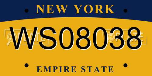 WS08038 New York License Plate