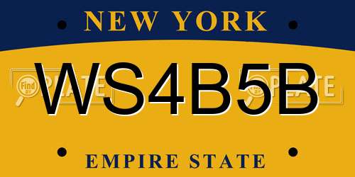 WS4B5B New York License Plate