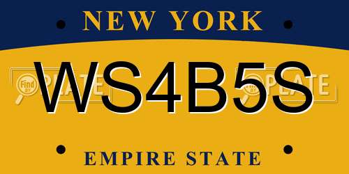 WS4B5S New York License Plate