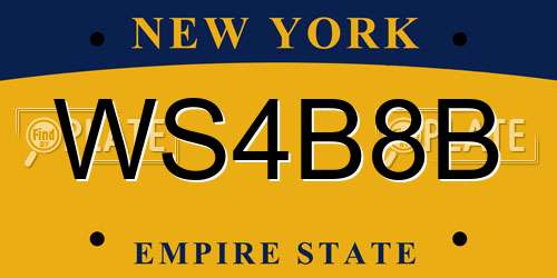 WS4B8B New York License Plate