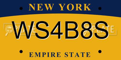WS4B8S New York License Plate