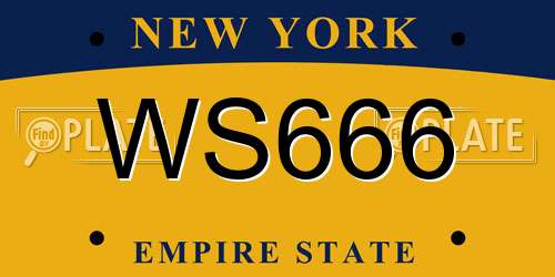 WS666 New York License Plate