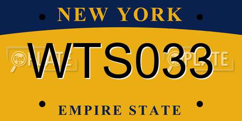 WTS033 New York License Plate