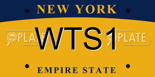 WTS1 New York License Plate