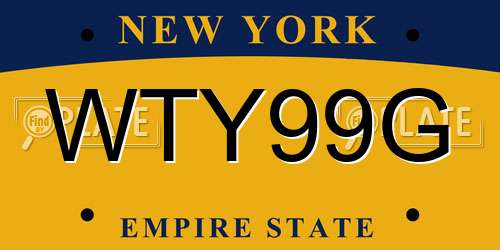 WTY99G New York License Plate
