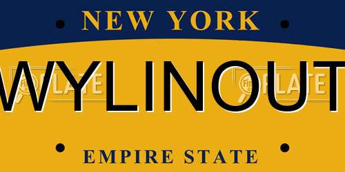 WYLINOUT New York License Plate