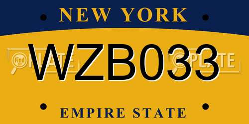 WZB033 New York License Plate