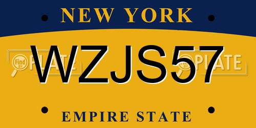 WZJS57 New York License Plate