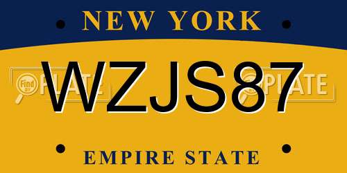 WZJS87 New York License Plate