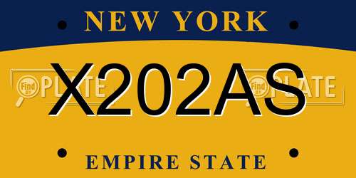X202AS New York License Plate