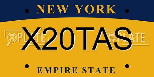 X20TAS New York License Plate
