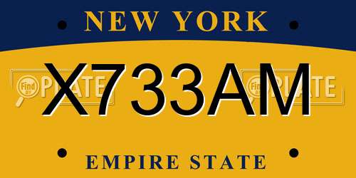 X733AM New York License Plate