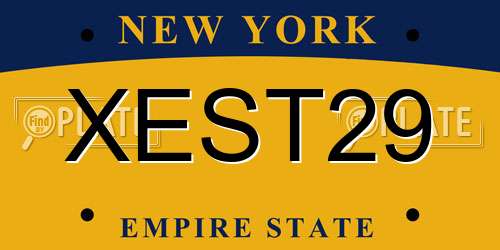 XEST29 New York License Plate