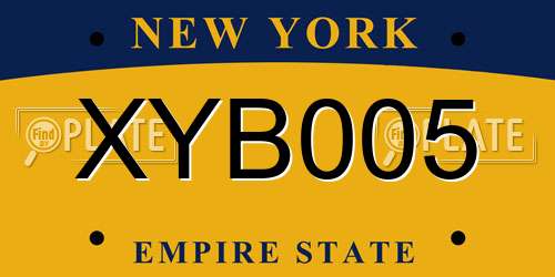 XYB005 New York License Plate