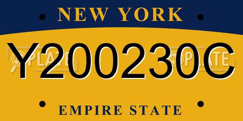 Y200230C New York License Plate