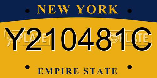 Y210481C New York License Plate