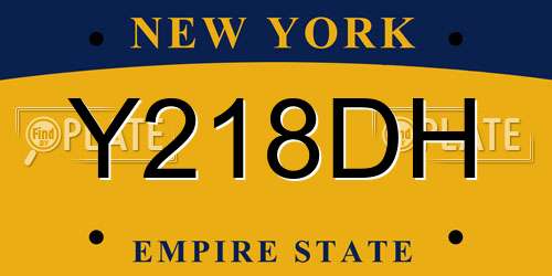Y218DH New York License Plate