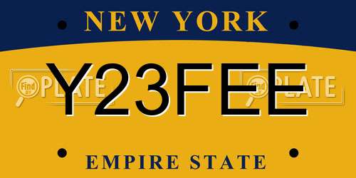 Y23FEE New York License Plate