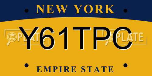 Y61TPC New York License Plate