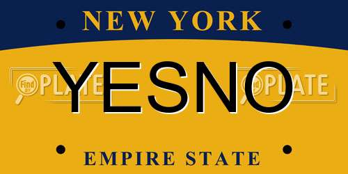YESNO New York License Plate