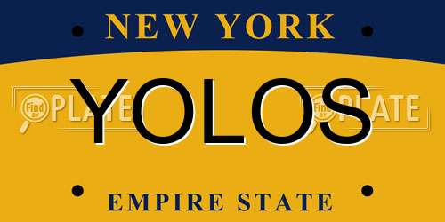 YOLOS New York License Plate