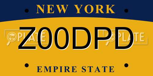 Z00DPD New York License Plate