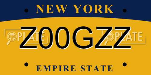 Z00GZZ New York License Plate