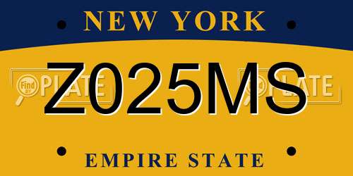 Z025MS New York License Plate