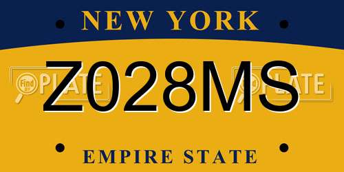 Z028MS New York License Plate