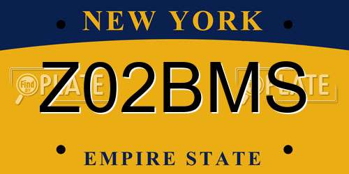 Z02BMS New York License Plate