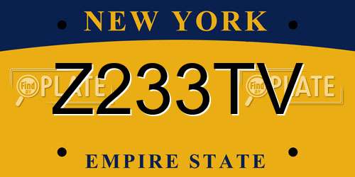 Z233TV New York License Plate