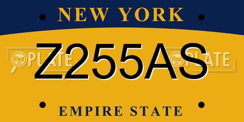 Z255AS New York License Plate