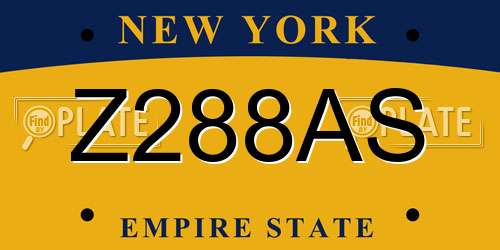 Z288AS New York License Plate
