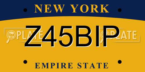 Z45BIP New York License Plate