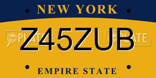 Z45ZUB New York License Plate