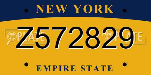 Z572829 New York License Plate