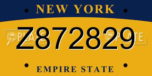 Z872829 New York License Plate