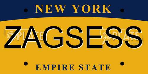 ZAGSESS New York License Plate