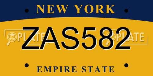 ZAS582 New York License Plate